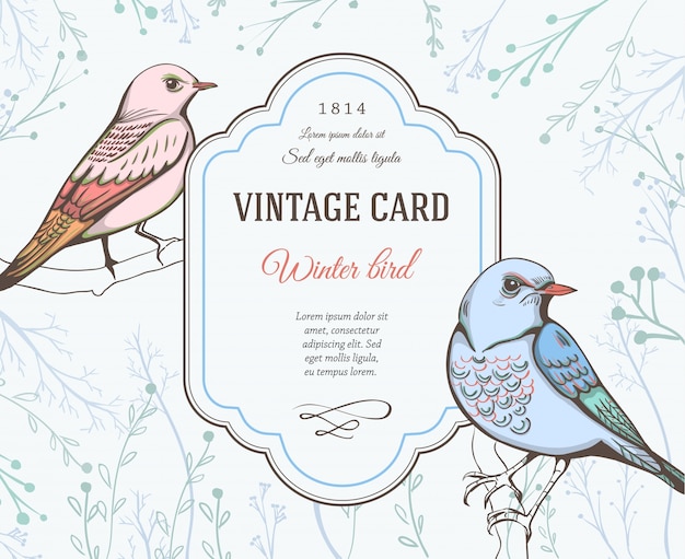 Vector vintage card with birds design