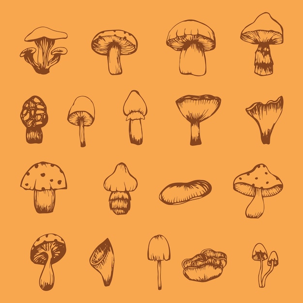 Vector vintage champignons