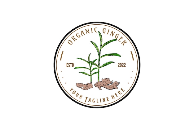 농장 또는 제품 로고에 대한 생강 식물의 빈티지 원형 배지 라벨