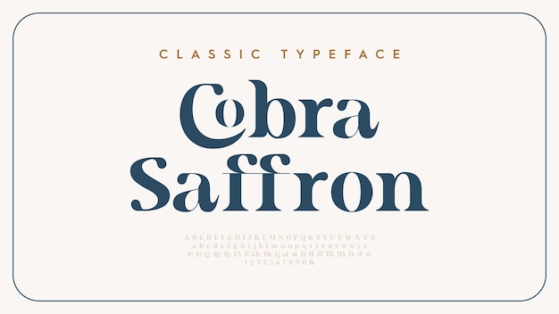 Vector vintage and classic alphabet font set design vector illustration typeface decorative serif fonts