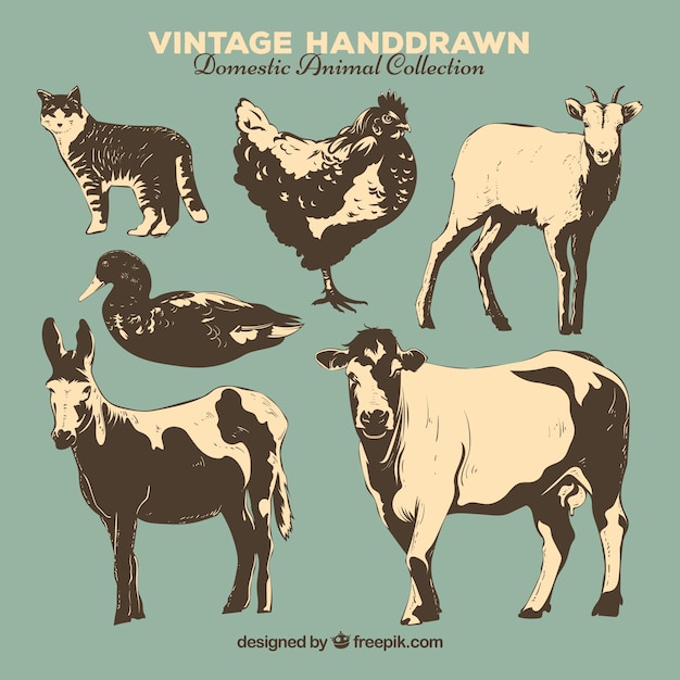 Vector vintage collectie handgetekende boerderijdieren