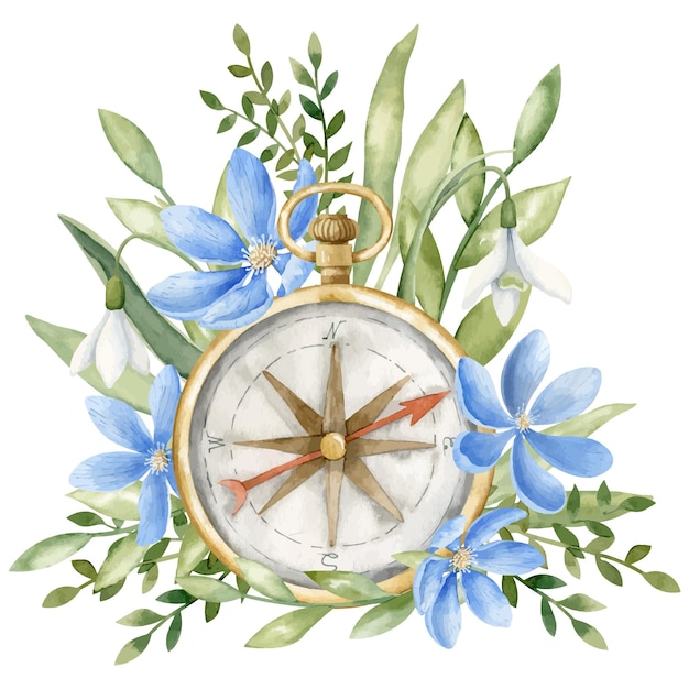 Vintage Compass with blue Flowers Hand drawn watercolor illustration of navigation old retro equipment with wild forest daisy and green leaves on white isolated background Drawing of travel element