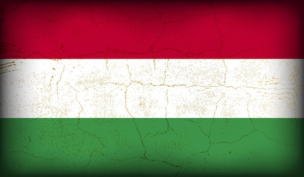 Vector vintage crack textured effect vector hungary flag design