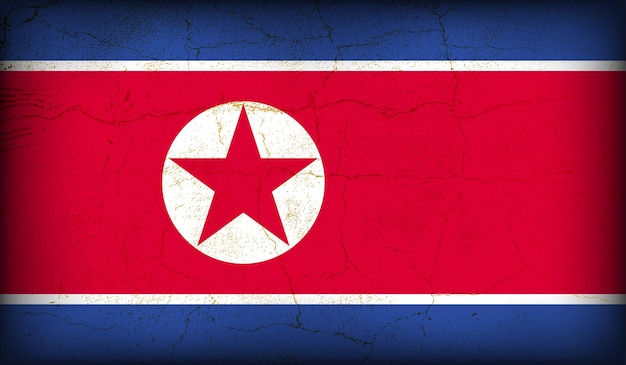 Vintage crack textured effect vector north korea flag design