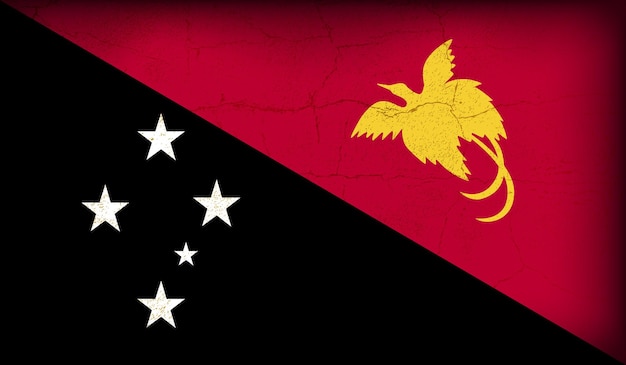 Vector vintage crack textured vector papua nieuw-guinea vlag ontwerp