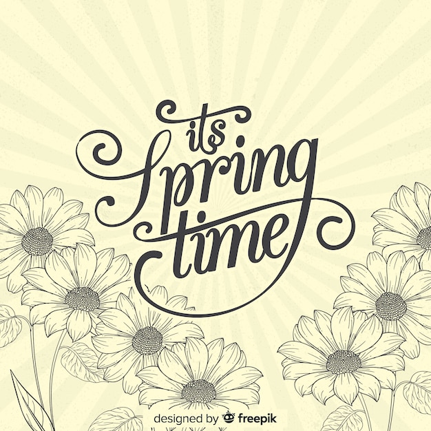 Vintage daisies spring background