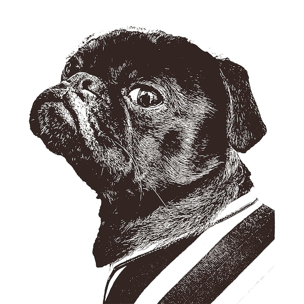 vintage dog isolated illustrations vector