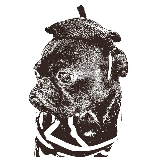 vintage dog isolated illustrations vector