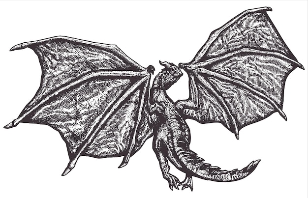 Винтажная татуировка дракона 001 Бесплатные векторы