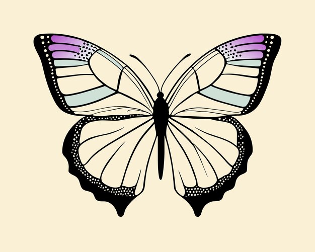 Vintage elegant illustrations of butterflies