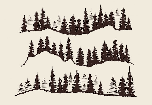 Vintage engraving forest. doodle sketch fir-trees vector set