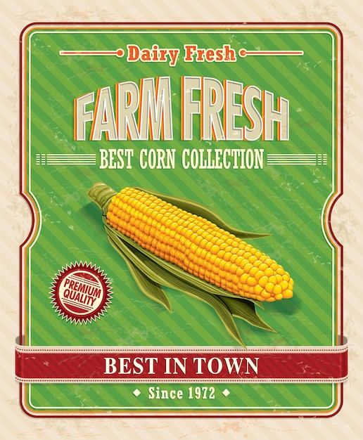 Vector vintage farm fresh organic corncob poster