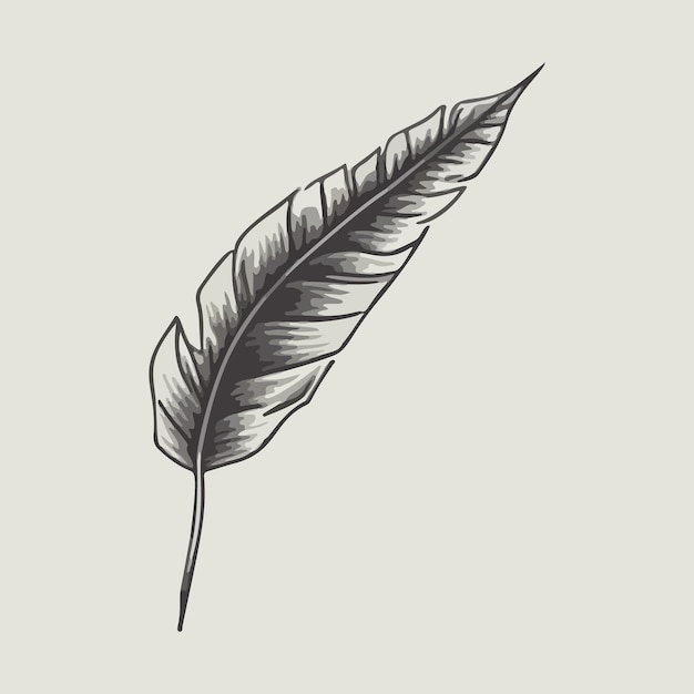 Vector vintage feather and bird illustration