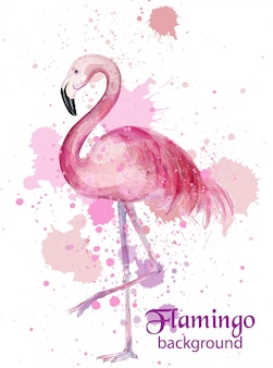 Винтажная акварельная карта фламинго