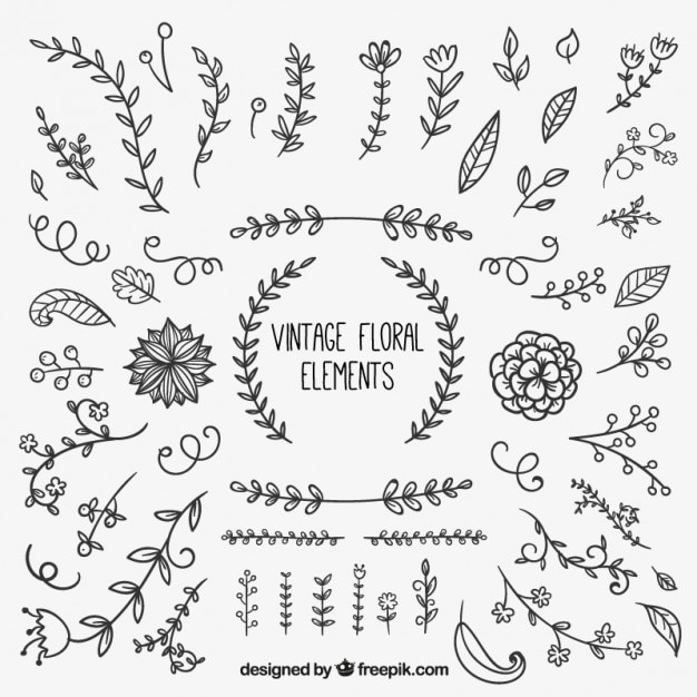 Vector vintage floral elements