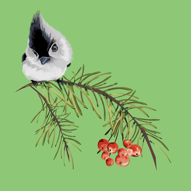 Vintage floral greeting card, spring or summer decoration with pine dry branch, red berries, mountain ash, little gray bird. colorful illustration.