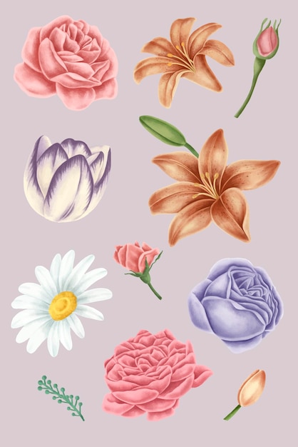 Vintage flower element collection vector