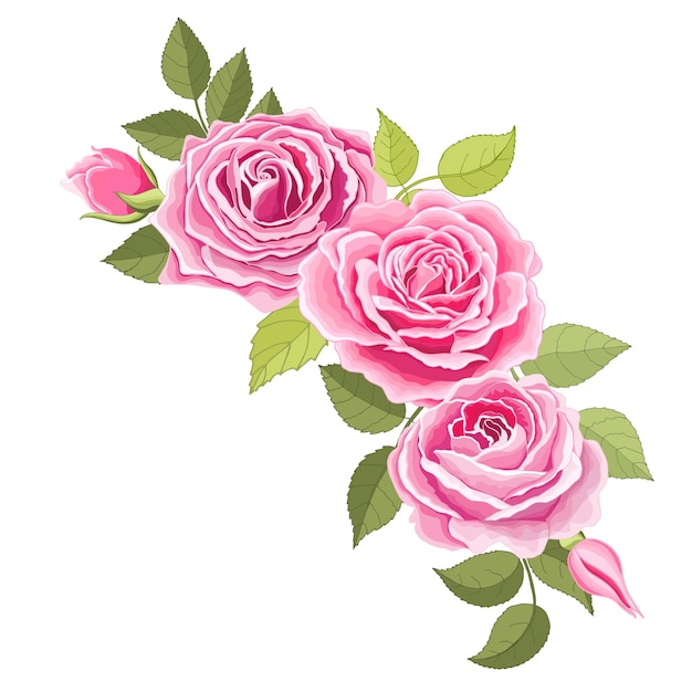 Vintage flowers set over white background The rose elegant card Beautiful bouquet of pink flowers