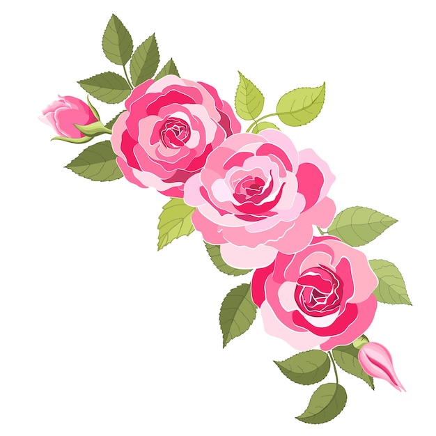 Vector vintage flowers set over white background the rose elegant card beautiful bouquet of pink flowers