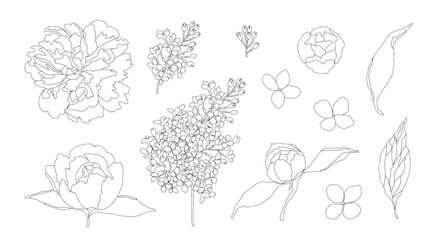 빈티지 꽃 벡터 설정 모란 라일락 장미 BlossomBotanical illustration 꽃 디자인