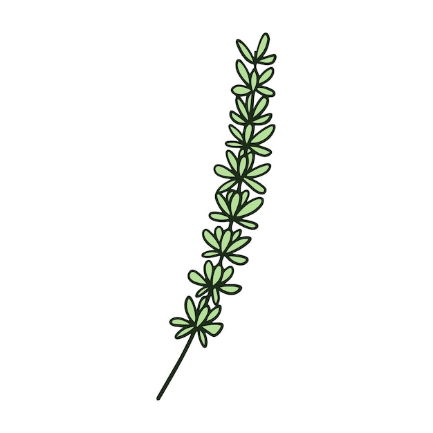 ヴィンテージの手描き 植物学的な花と葉のイラスト ベクトル