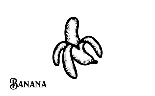 Vintage hand drawn banana