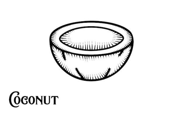 Старинные рисованной кокос премиум вектор