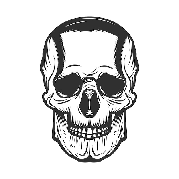 Vintage Hand drawn Human Skull