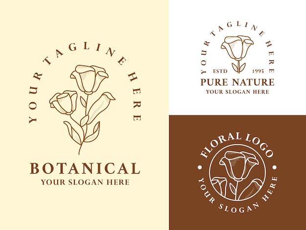 Insieme di progettazione botanica dell'illustrazione del logo della foglia disegnata a mano dell'annata per il marchio biologico naturale di bellezza