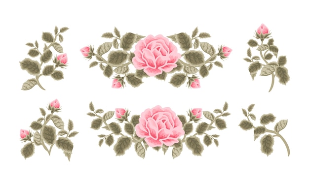 Disposizione della decorazione dell'alloro di nozze del fiore della rosa rosa shabby chic disegnata a mano dell'annata