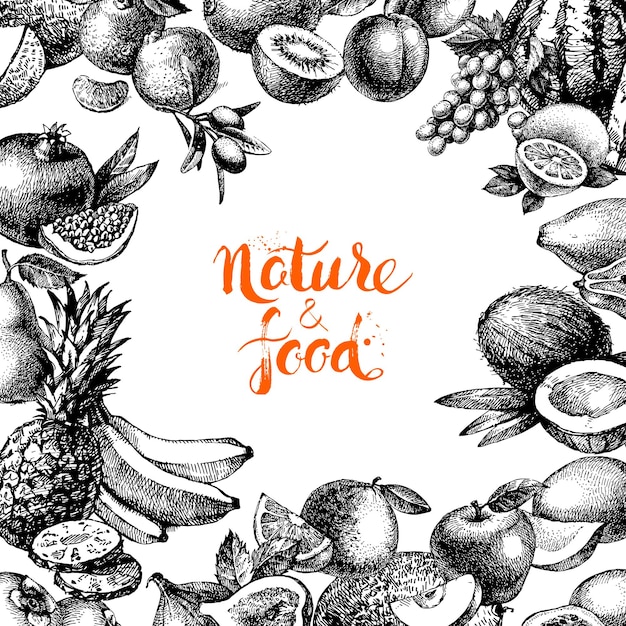 Vintage hand drawn sketch fruits and berries background eco food design vector illustration