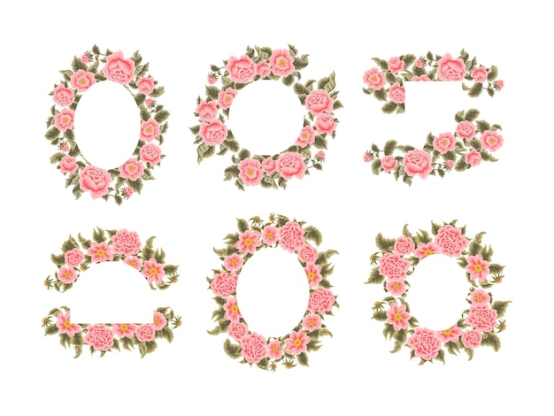Vettore raccolta di disposizione dell'illustrazione della struttura della corona del fiore della rosa di vettore disegnato a mano dell'annata