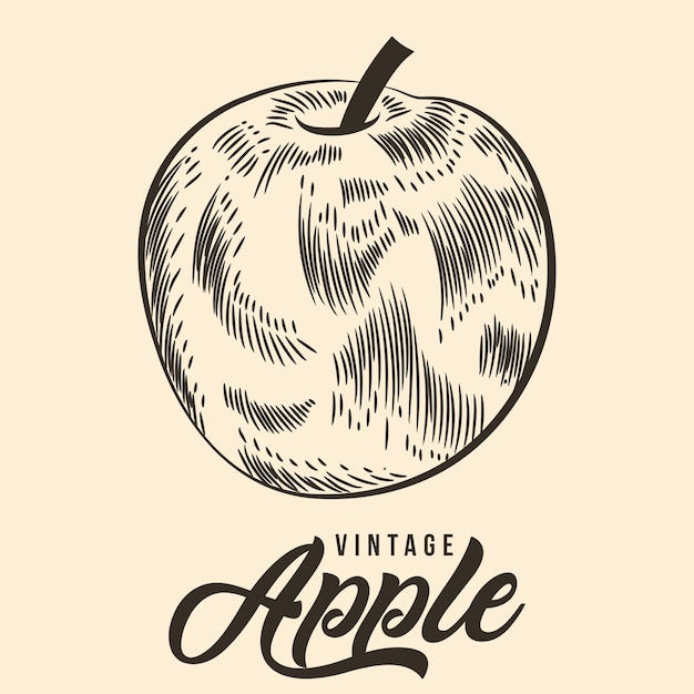 Vintage Hand Tekening Appel Fruit Schets Vector Stock Illustratie