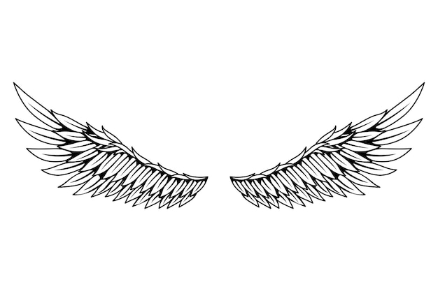 빈티지 전 령 날개 스케치 흑백 양식된 새 날개 열린 위치에 손으로 그린 윤곽 stiker 날개 색칠 스타일의 디자인 요소