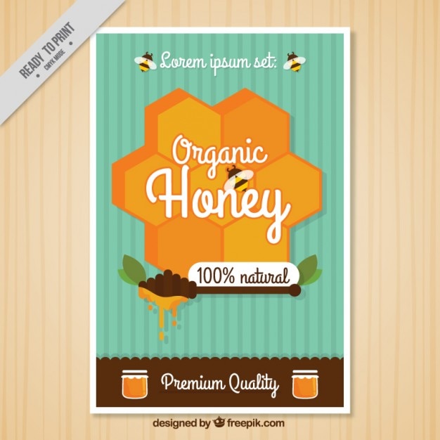 Vector vintage honey brochure