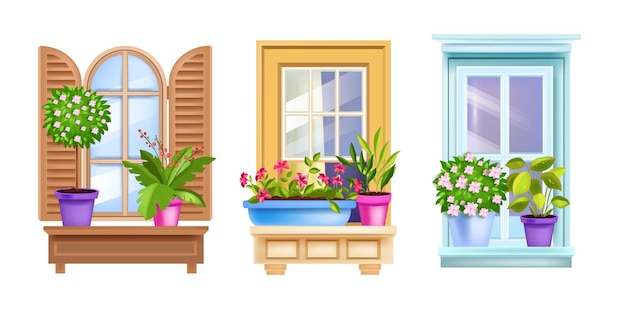 Vintage house window set with casements, flowerpots, blossom home plants, sills, frames.