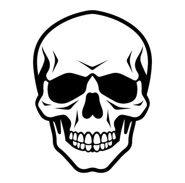 Vintage human skull concept