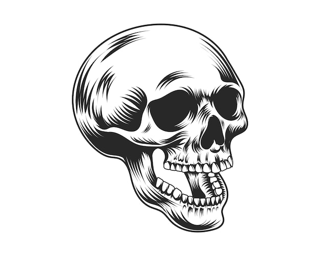 Vintage human skull vector illustration for t-shirt, logo and others