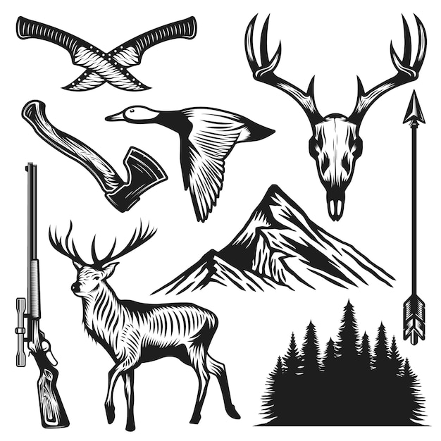 Vector vintage hunting elements collection