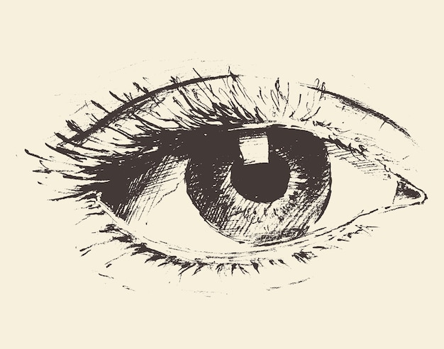 Vintage illustration of an eye, hand drawn, sketch