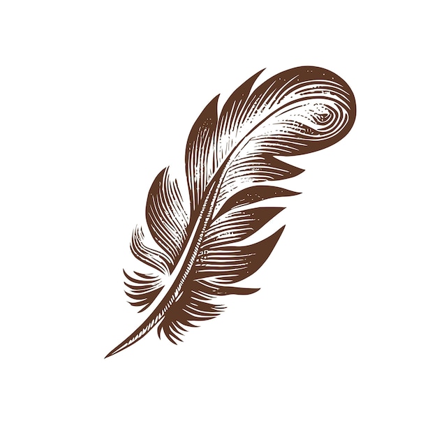 White and black feather illustration, Bird Feather Silhouette, Black feather  quill pen, animals, black Hair, peacock Feather png