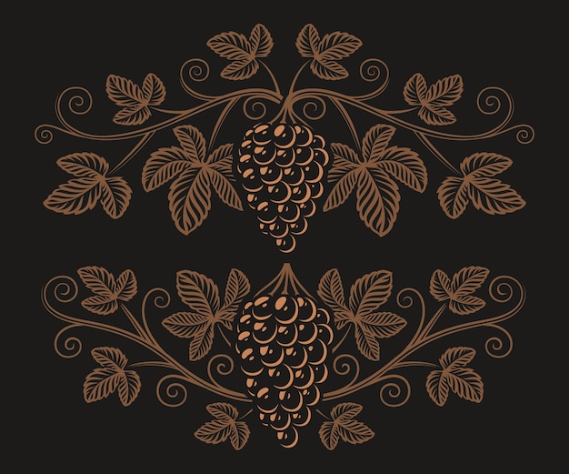 Vintage illustration of a grape branch on the dark background. design element for alcohol branding.