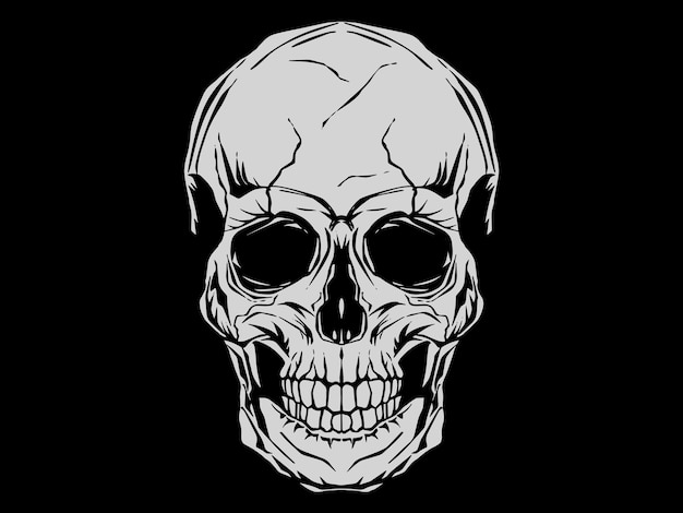 Vintage illustration of skull On black background