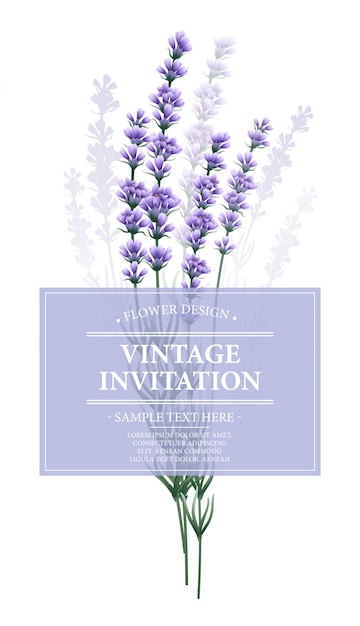 Vintage kaart met lavendel bloem.