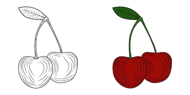 Vintage kersenfruit met gravurestijl darwing vector