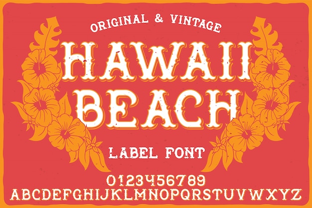 Vector vintage label lettertype met de naam hawaii beach.