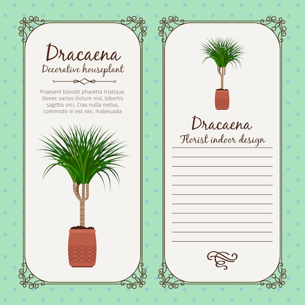 Vintage label with dracaena plant