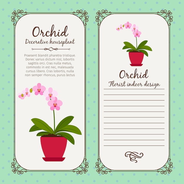 Vintage label with flower orchid