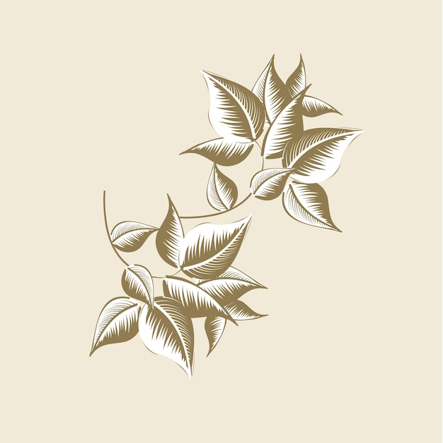 Vintage leaves style