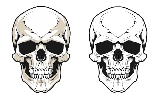 Vector vintage monochrome human skull crossing bones vector illustration